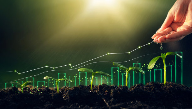 从吃饭看性格：食物选择背后的人格密码